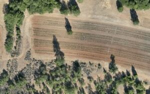 Precision Agriculture Drone Service