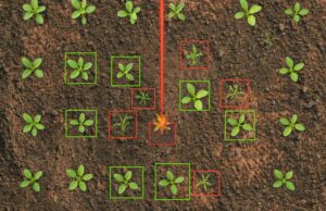 Rugged Embedded Computing Systems Enable Solar-Powered Autonomous Weed Control
