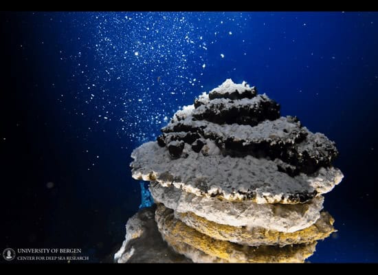Overlay Rov Video SubC DVR+ Overlay Supports Deep Subsea Research & ROV Imaging Workflows ...