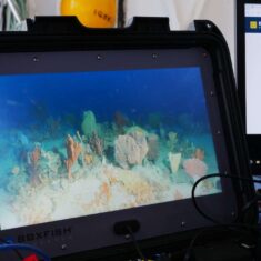 Boxfish ROV Supports Monitoring of Marine Protected Areas | Unmanned ...