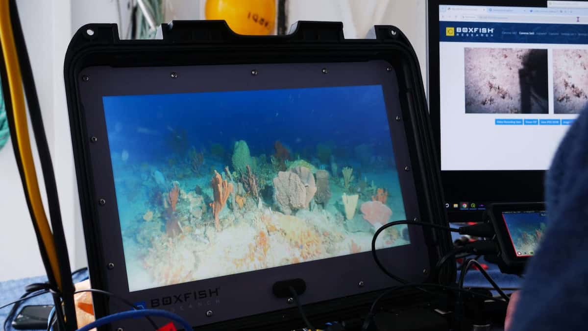 O ROV Boxfish apoia a monitorização de áreas marinhas protegidas ...