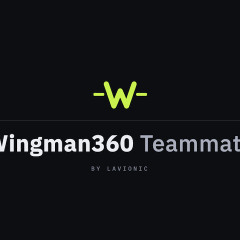 Wingman360 Teammate by Lavionic