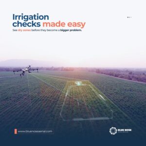 Blue Nose Aerial Imaging Delivers Clear Irrigation Mapping in Ventura County