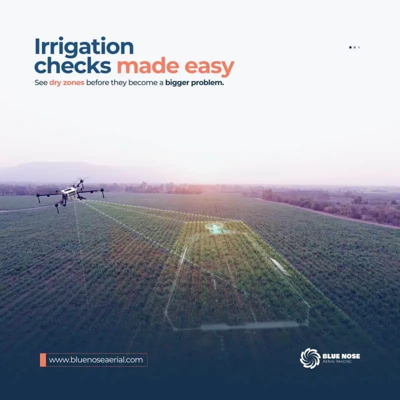 Blue Nose Aerial Imaging Delivers Clear Irrigation Mapping in Ventura County
