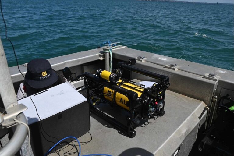 Boxfish Robotics AUV Enables Consistent Seabed Transect Surveys ...