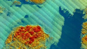 Delph Geo Geophysical Software Suite