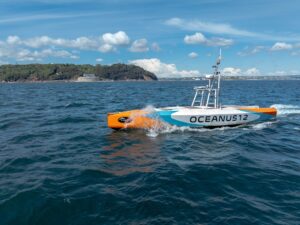 Low-Bandwidth Video Streaming for Autonomous Maritime Operations