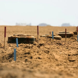 Skyfront Mine Clearance