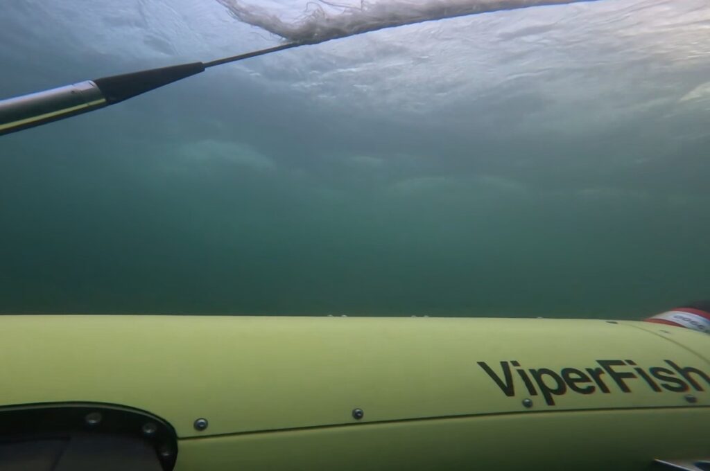 ViperFish-side-underwater