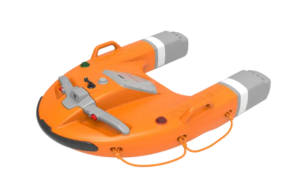 Dolphin 3 