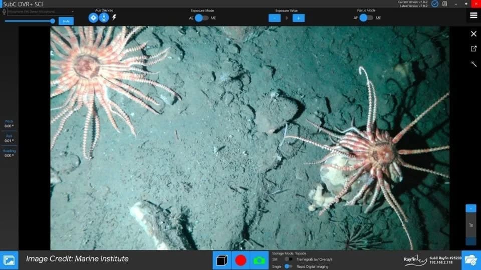 Drop Camera System Introduced for No-Contact Seafloor Imaging & Surveys 3 copy