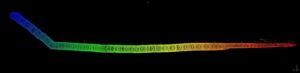 Sonar-Based Tunnel Inspection with a Boxfish ROV 3