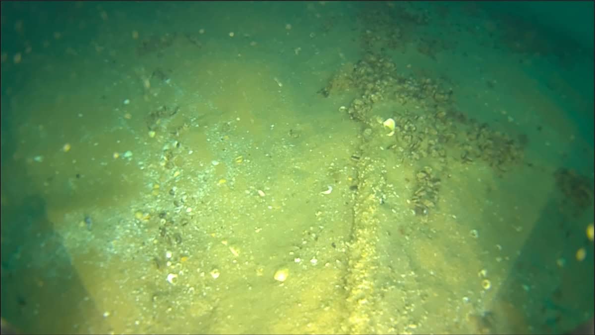 BeeX Seabed Debris Search
