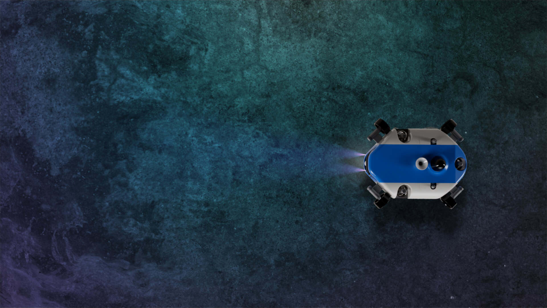 BeeX Seabed Survey & Mapping