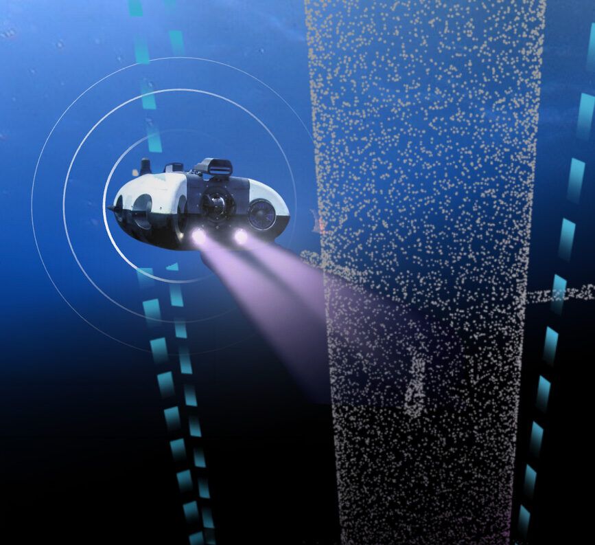 BeeX UAV Systems & Software