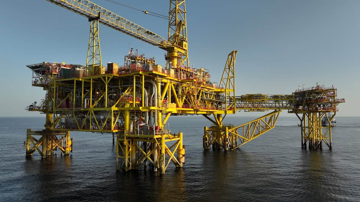 BeeX Oil & Gas Platforms