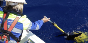 Serviços de levantamento oceanográfico com USV prestados pela Alseamar.