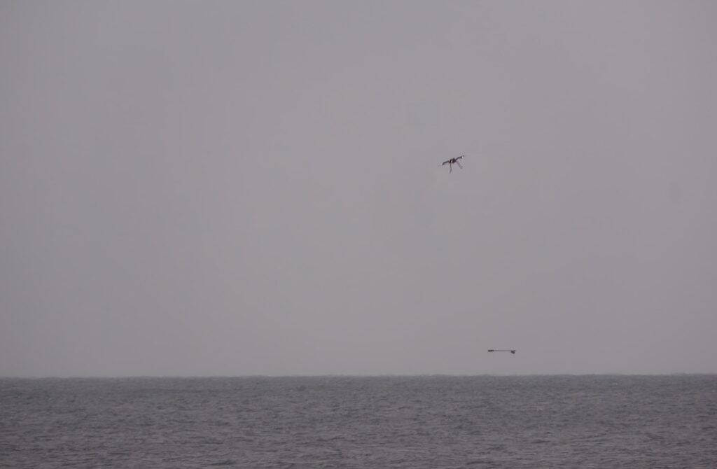 Detecting Buried & Submerged Threats with Drone-Based Magnetic Sensing